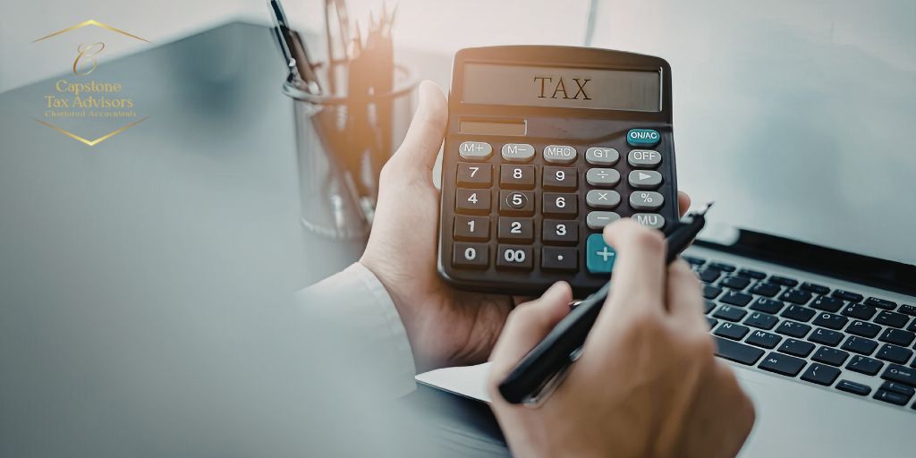 Professional Tax Accountant